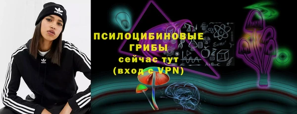 ГАЛЛЮЦИНОГЕННЫЕ ГРИБЫ Дмитровск