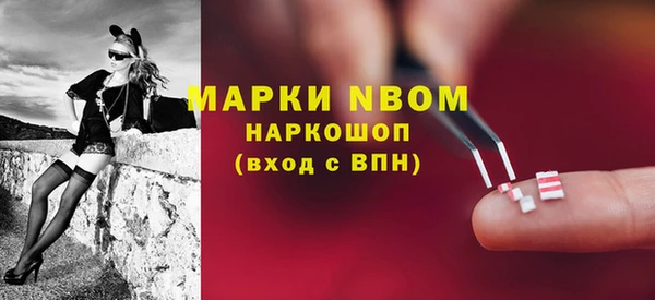 бошки Ельня