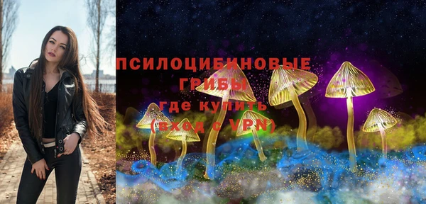 мескалин Елизово
