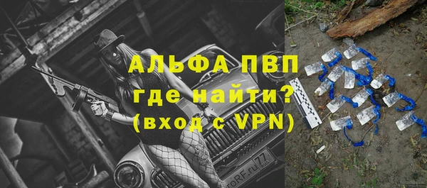 бошки Ельня