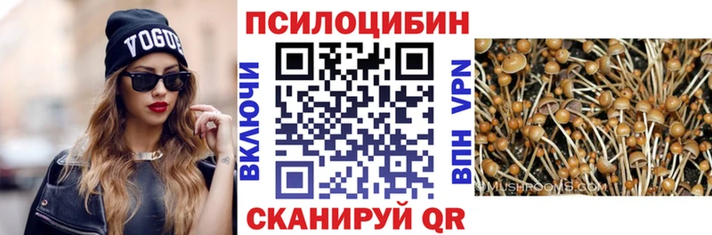 Псилоцибиновые грибы Magic Shrooms  Купить где  Болгар 
