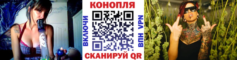 Купить закладки  Болгар  Каннабис гибрид 